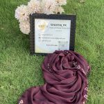 Premium Georgette